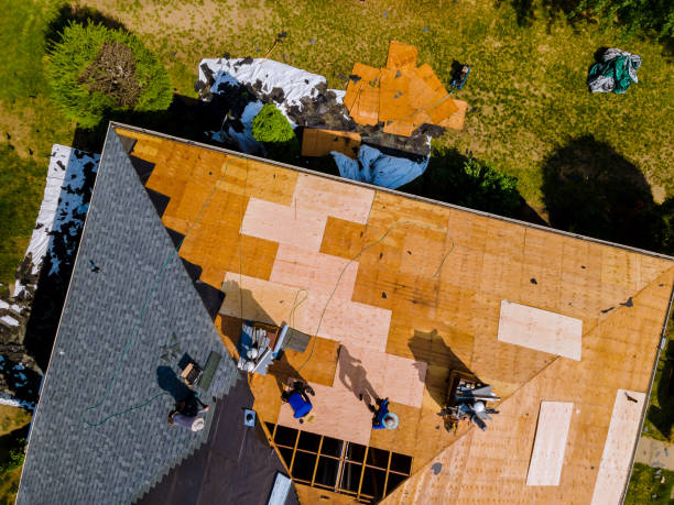 Best Roof Maintenance Services  in Northchase, NC